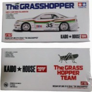 NISSAN SKYLINE GT-R (R34) "THE GRASSHOPPER" - MINI GT