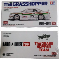 NISSAN SKYLINE GT-R (R34) "THE GRASSHOPPER" - MINI GT NISSAN SKYLINE GT-R (R34) "THE GRASSHOPPER" - MINI GT