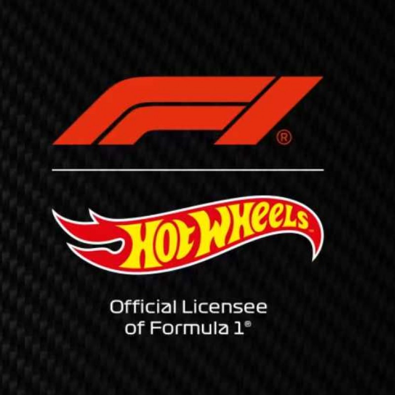 HOTWHEELS FORMULA 1