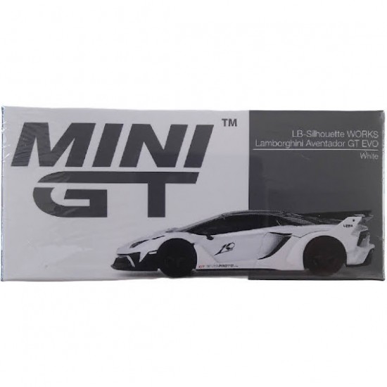 LAMBORGHINI AVENTADOR GT EVO