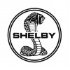 SHELBY